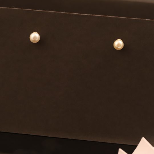 Anti Tarnish Earring