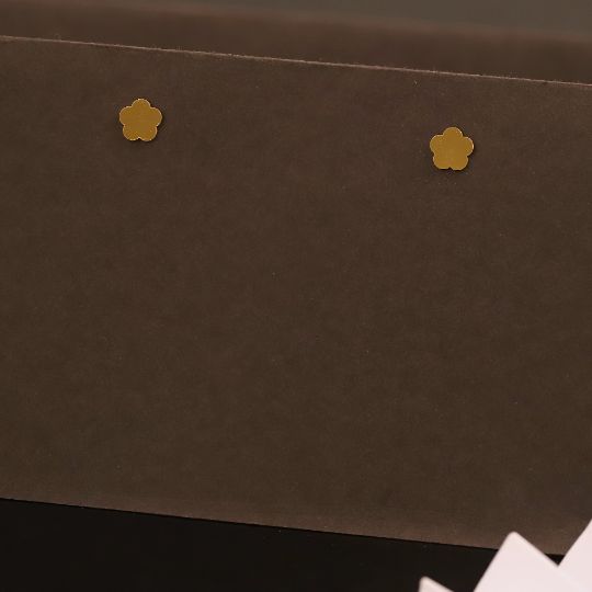 Anti Tarnish Earring