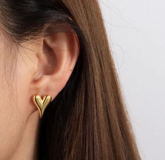 Anti Tarnish Earring