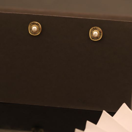 Anti Tarnish Earring